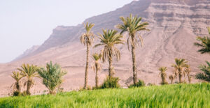 بهترین مقاصد بومگردی ایران؛ از کویر تا جنگل تا دریا و کوهستان